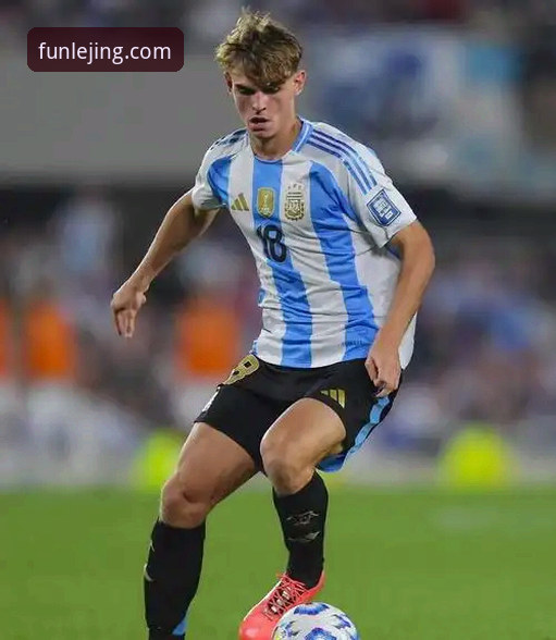 3个关键数据揭示：阿根廷新星重伤如何影响世界杯战术格局